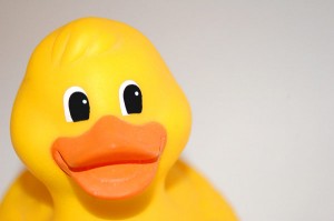 canard