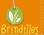 brindilles